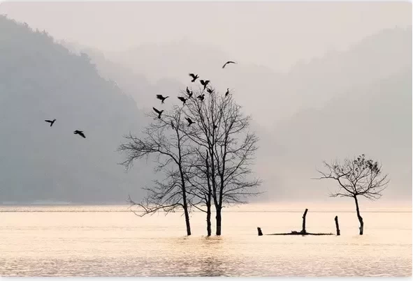 Is Tongji Lake in Pujiang Worth Visiting? Where Are the Best Photo Spots in Tongji Lake, Pujiang 